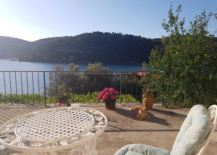 Guest House Busurelo